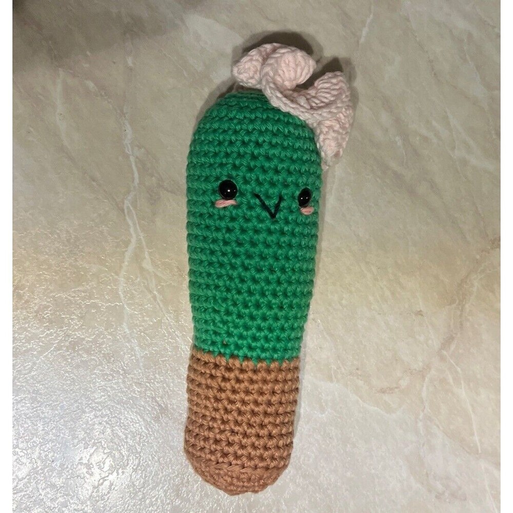 Amigurumi Handmade Crocheted Stuffy Stuffed Cactus Plushy (Pink+Green+Brown) New